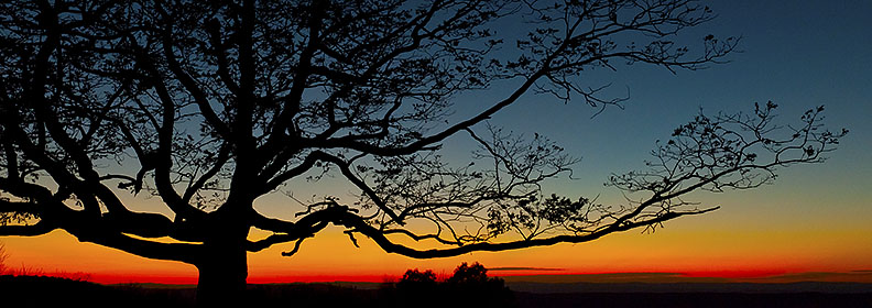After the Sunset on Skyline Drive, Shenandoah National Park, VA