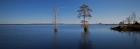 Lake Drummond in the Great Dismal Swamp, Tidewater, VA